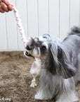 "BE HAPPY" CLOUD ROPE TOY DOG TUG TOY