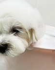 PREMIUM DOG SPA BATH BOMB FOR GLOSSY HAIR AND HEALTHY SKIN