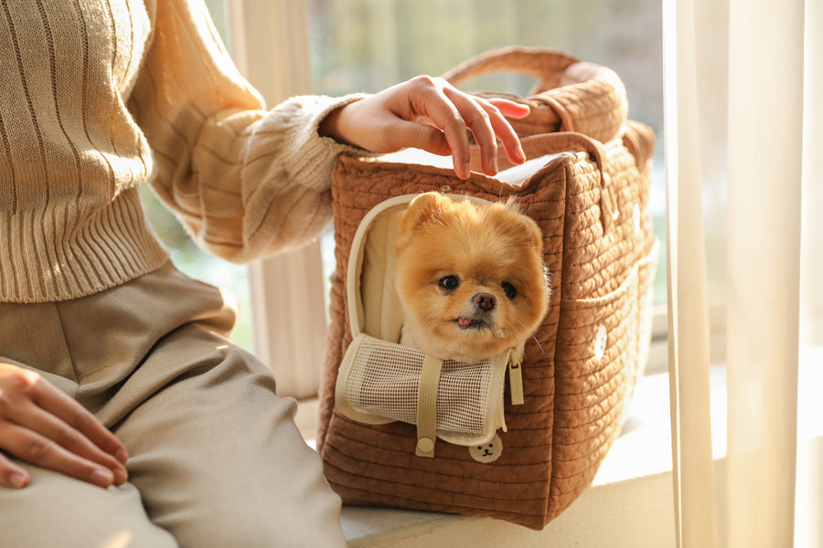 QUILTED TWO IN ONE SHOULDER BAG, DOG CARRIER - 2 COLORS