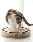 INTERACTIVE TRACK BALL CAT SCRATCHER TOY